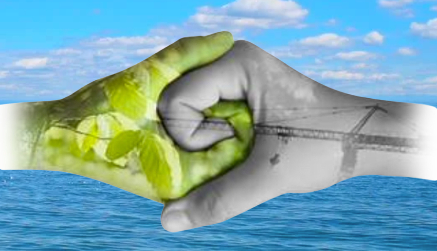 Collaberating Hands New