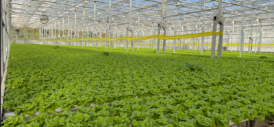 District Farms